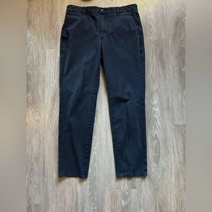 Everlane The Performance Chino